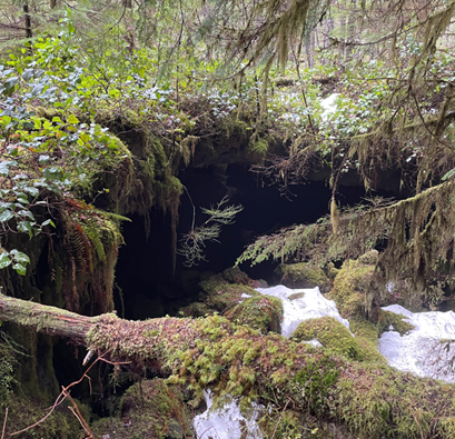 Entrance to one of the many caves containing wintering bats.