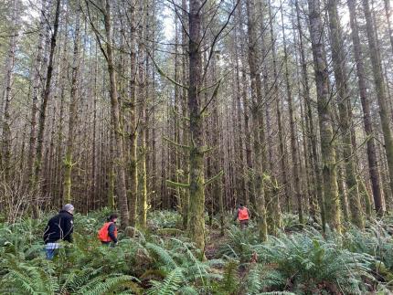 Staff members assessing the Tarboo Unit for upcoming forest projects.