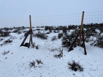 Cowiche fence break.