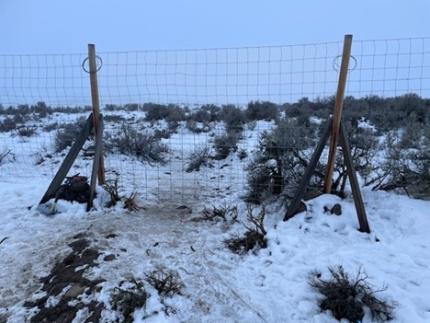 Cowiche fence repair.