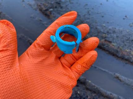 Plastic ring/cap successfully removed from the deer’s hoof!