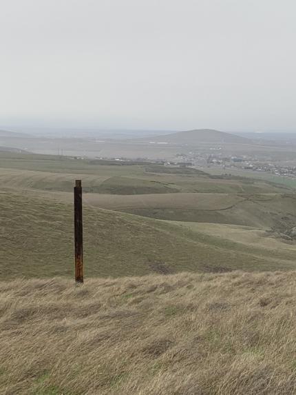 Ferruginous hawk nest platform with platform removed.