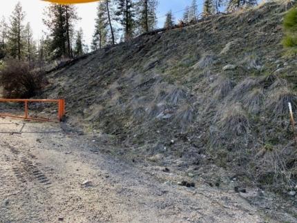 After the downed tree removal on Bisbee Mountain Road.