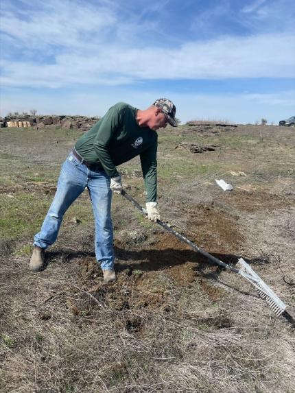 Sunnyside-Snake River Wildlife Area Manager Kaelber raking in milkweed seed. 