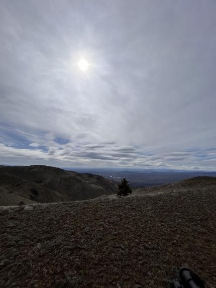 Perfect, overcast conditions for the Cleman Mountain Bighorn Sheep recruitment survey. 