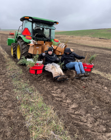 Private Lands staff members plant trees and shrubs.