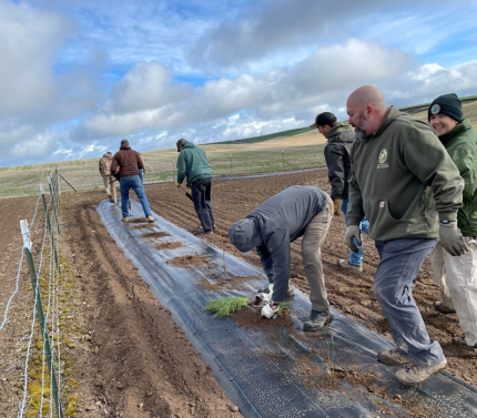 Private Lands staff members planting trees and shrubs. 