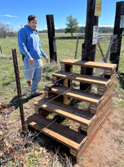 Stair built to improve ease of access over fence.