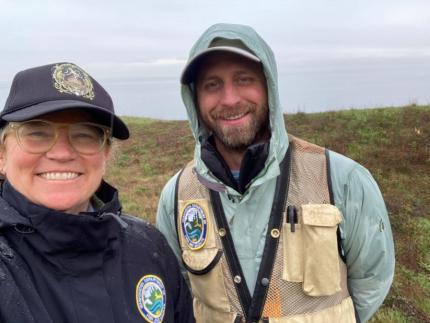 Counting island marble butterfly eggs on San Juan Island.