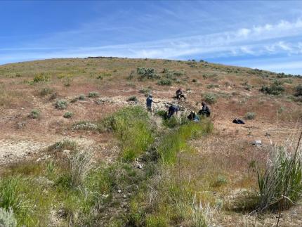 Location of the potential plans for the development of a natural spring.