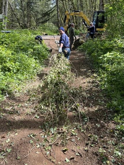 English Ivy removal. 