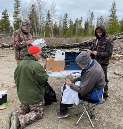 Two individuals processing a sharp-tailed grouse.