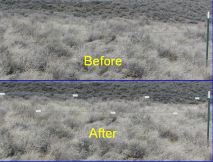 A comparison of marked and unmarked fence. 