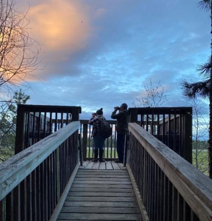 Volunteers B. Roe and J. Roe watch a crane from the viewing platform at sunset.