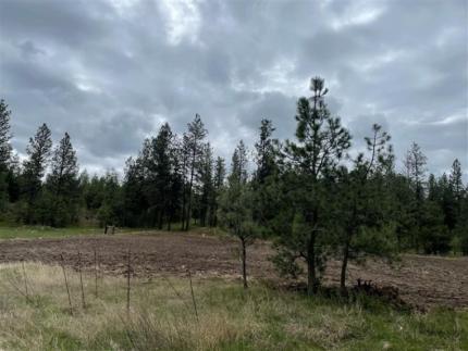 Field seeded for a food plot on a hunt by written permission property.