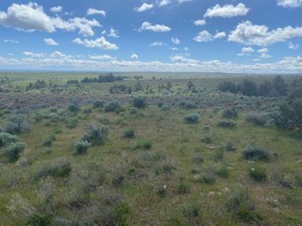 Beautiful day in eastern Klickitat County.