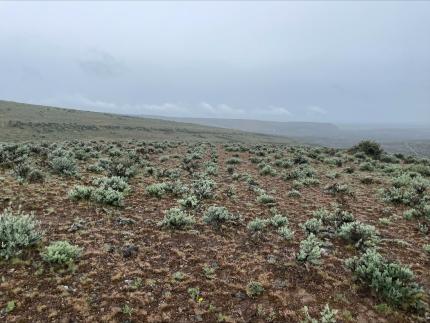 Picture from the property tour in Kittitas County.