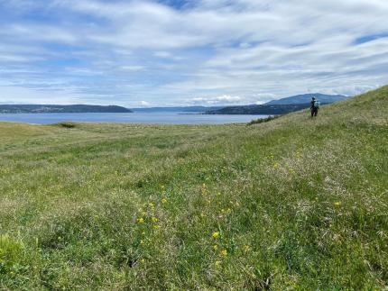 Technician Norris treating invasive plants on Protection Island.