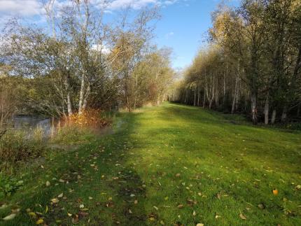 Dike-top trail on Nooksack Wildlife Area Unit.