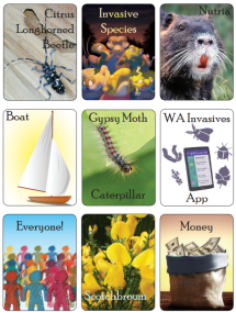 Invasive species board game