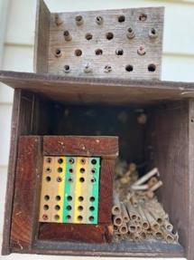 bee hotel