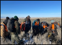 Conservation Northwest Volunteers gather around a pygmy rabbit burrow