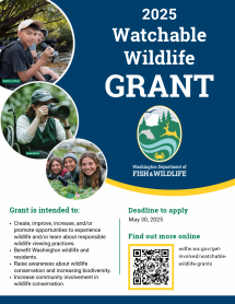 Flyer for the Watchable Wildlife Grant program