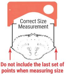 Legal measurement for Dungeness Crab - WDFW