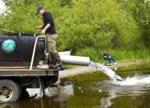 Trout stocking at Rapjohn Lake